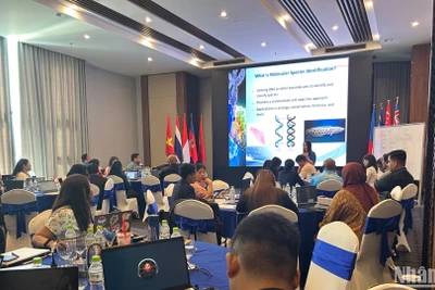 Quang cảnh một buổi trao đổi trong khuôn khổ Chương trình Chống khai thác thủy sản IUU và thúc đẩy nghề cá bền vững ở Đông Nam Á. (Ảnh: HẢI YẾN)