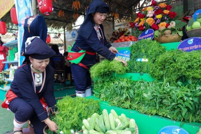 Nông sản của phụ nữ dân tộc thiểu số được trưng bày, giới thiệu tại Ngày hội.