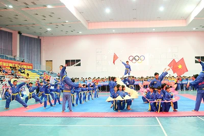 Biểu diễn võ nhạc tại lễ khai mạc.