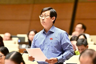 Đại biểu Nguyễn Hữu Thông (Bình Thuận) phát biểu. (Ảnh: ĐĂNG KHOA)