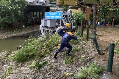 Công nhân Công ty Thoát nước Hà Nội thu dọn cành cây gãy đổ, bảo đảm thoát nước.