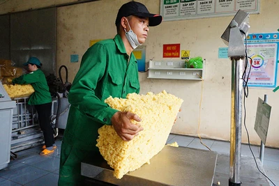 Công nhân Công ty TNHH MTV cao su Mang Yang chế biến mủ cao-su xuất khẩu.