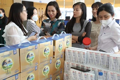 Học viên được giới thiệu về các dòng sản phẩm dinh dưỡng của Vinamilk.