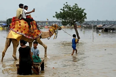 Cảnh ngập lụt trên một cánh đồng ven bờ sông Hằng ở Ấn Độ ngày 6/8 (Nguồn: Yahoo News)