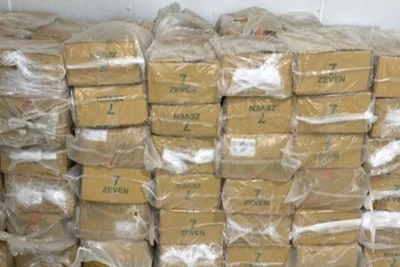 Lực lượng chức năng Quảng Bình phát hiện, thu giữ gần 3 tấn nội tạng động vật không có nguồn gốc hợp pháp.