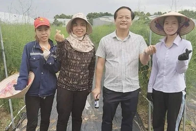 Các lao động huyện Quỳnh Phụ (tỉnh Thái Bình) tham gia chương trình lao động thời vụ tại Hàn Quốc năm 2023 cho thu nhập gần 40 triệu đồng/tháng.