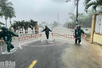 Thực hiện giăng dây cảnh báo, chốt chặn tại xã Hòa Phong.