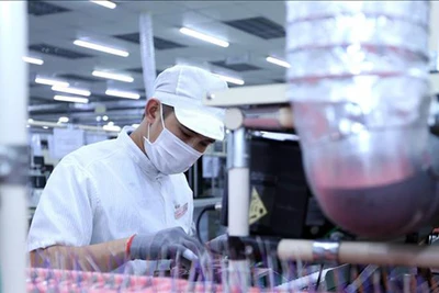 Dây chuyền sản xuất bản mạch điện tử tại Công ty TNHH Nexcon Việt Nam, vốn đầu tư của Hàn Quốc tại Bắc Ninh. (Ảnh tư liệu: Danh Lam/TTXVN)