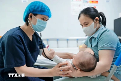 Bác sĩ khám cho bệnh nhi gần 2 tháng tuổi mắc ho gà đang điều trị tại Trung tâm bệnh Nhiệt đới (Bệnh viện Nhi Trung ương). (Ảnh: Minh Quyết/TTXVN)