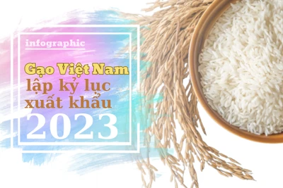 Gạo Việt Nam lập kỷ lục xuất khẩu