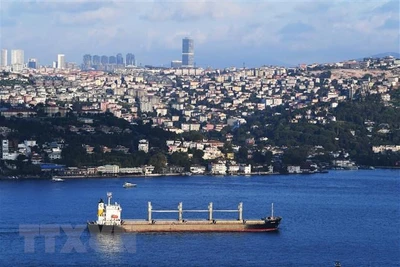 Tàu chở ngũ cốc di chuyển dọc Eo biển Bosphorus ở Istanbul, Thổ Nhĩ Kỳ, ngày 7/8/2022. (Ảnh: THX/TTXVN)
