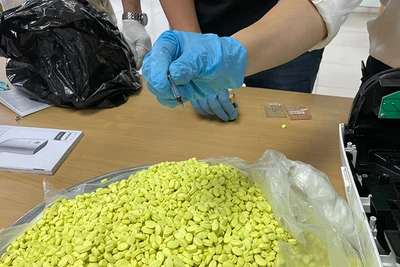 Số ma túy do Hải quan thu giữ.