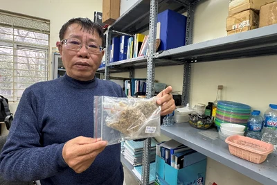 Giáo sư, Tiến sĩ Lê Hồng Khiêm giới thiệu mẫu rêu thu thập để nghiên cứu.