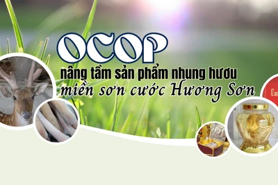 OCOP nâng tầm sản phẩm nhung hươu miền sơn cước Hương Sơn