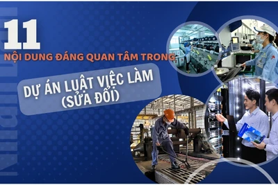 11 nội dung đáng quan tâm trong dự án Luật Việc làm (sửa đổi)