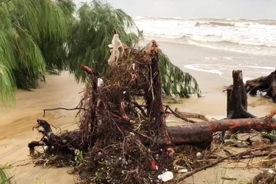 Hiện trạng sạt lở bờ biển Quảng Phúc, tỉnh Quảng Bình.