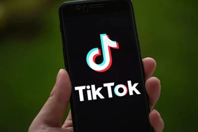 Ảnh minh họa. (Nguồn: Internet)