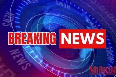 Máy bay bốc cháy ở Hàn Quốc, 170 hành khách sơ tán khẩn cấp