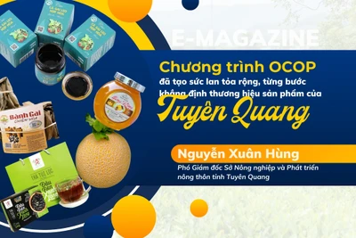 Chương trình OCOP đã tạo sức lan tỏa rộng, từng bước khẳng định thương hiệu sản phẩm của Tuyên Quang