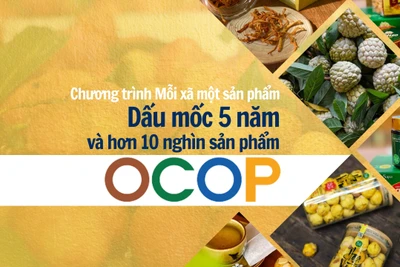 Dấu mốc 5 năm và hơn 10 nghìn sản phẩm OCOP 