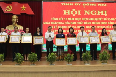 Phó Bí thư Thường trực Tỉnh ủy Đồng Nai Hồ Thanh Sơn trao khen thưởng cho các tập thể.