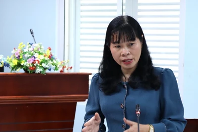 Giám đốc Sở Lao động-Thương binh và Xã hội tỉnh Đồng Nai Nguyễn Thị Thu Hiền.