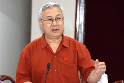 Ủy viên Thường trực Ủy ban Tài chính, Ngân sách Quốc hội Trần Văn Lâm đề nghị không hợp thức hóa sai phạm các dự án bất động sản.