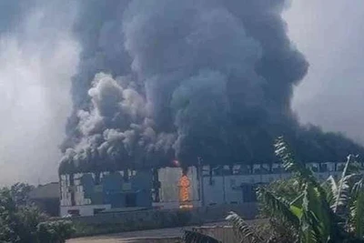 Đám cháy bùng phát tại nhà xưởng Công ty cổ phần Green Service.