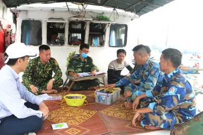 Kiểm tra, nhắc nhở, xử phạt các phương tiện đánh bắt sai quy định.