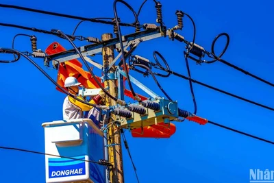 Kiểm tra, bảo trì để hệ thống lưới điện vận hành an toàn, ổn định trong dịp Tết.