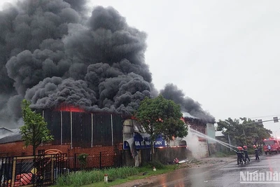 Công an tỉnh Quảng Nam huy động lực lượng, phương tiện nỗ lực dập tắt đám cháy.