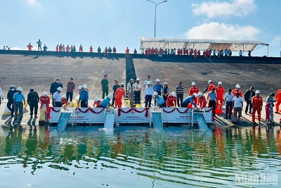 Thả 100 nghìn con cá giống xuống lòng hồ Thủy điện Sông Tranh 2