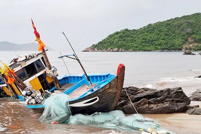 Chiếc ghe của ông Lê Hải hư hỏng nặng. (Ảnh H.C)