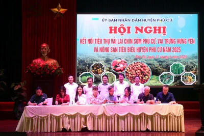 Doanh nghiệp và hợp tác xã ký biên bản ghi nhớ hợp tác tiêu thụ sản phẩm vải lai chín sớm Phù Cừ và vải trứng Hưng Yên.