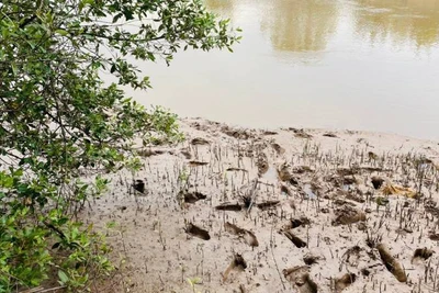 Hiện trường xảy ra vụ đuối nước thương tâm khiến 2 em học sinh tử vong.