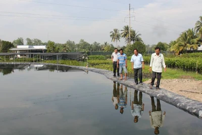 Người dân huyện Chợ Lách (tỉnh Bến Tre) đào ao, trữ nước ngọt phục vụ sản xuất trong mùa hạn mặn. (Ảnh: HOÀNG TRUNG)