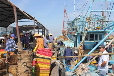 Tỉnh Bến Tre quản lý chặt chẽ việc khai thác hải sản trên biển.