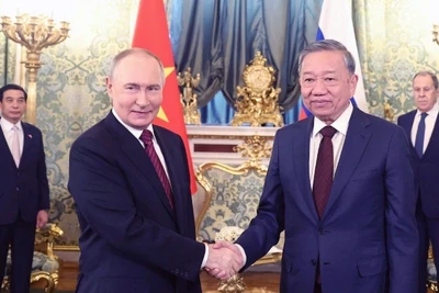 Tổng Bí thư Tô Lâm hội đàm hẹp với Tổng thống Nga Vladimir Putin. (Ảnh: TTXVN)