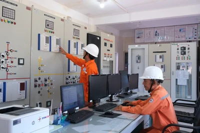 EVNCPC tổ chức kiểm tra, củng cố toàn hệ thống lưới điện, đảm bảo cung cấp điện an toàn, liên tục, tin cậy trong những ngày lễ, tết.