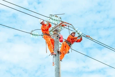 Công nhân Điện lực Đà Nẵng kiểm tra, nâng cấp đường dây.