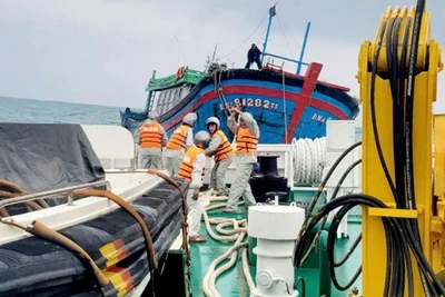 Tàu 368, Vùng 3 Hải quân tiếp cận 2 tàu cá bị nạn