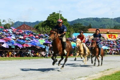 Lễ hội đua ngựa diễn ra tại Bắc Hà đầu tháng 5/2025 là một hoạt động du lịch thu hút du khách đến với Lào Cai.