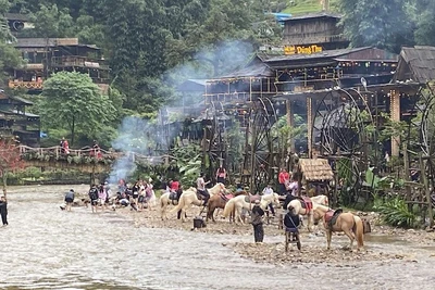 Bản Cát Cát, thị xã Sa Pa là một điểm hút khách du lịch trong thời điểm đầu năm 2025.