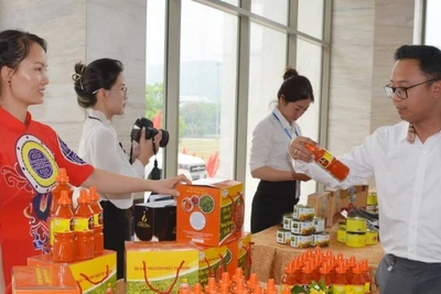 Một số sản phẩm OCOP của Lào Cai.