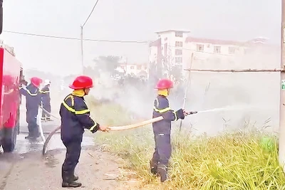 Đề phòng nguy cơ cháy cỏ, rác mùa nắng nóng 