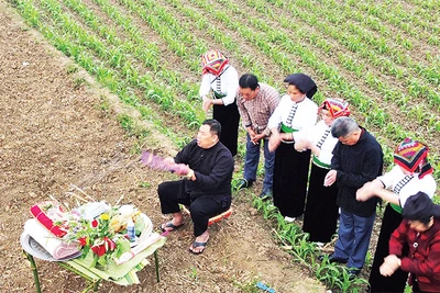 Thầy mo và những người già trong bản thực hiện các nghi thức xin thần đất để tổ chức nghi lễ tại một địa điểm đã được lựa chọn trước.