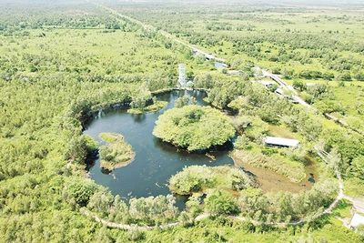 Hồ Hoa Mai trong Vườn quốc gia U Minh Thượng. 