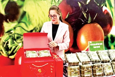 Bánh chưng xanh Lương Huế được chứng nhận sản phẩm OCOP 3 sao. 