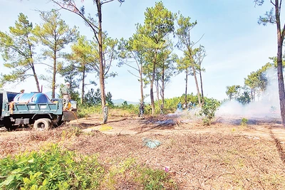 Mô hình xe chữa cháy cơ động của kiểm lâm tỉnh Quảng Bình giúp dập lửa nhanh trong các vụ cháy rừng vừa qua. 