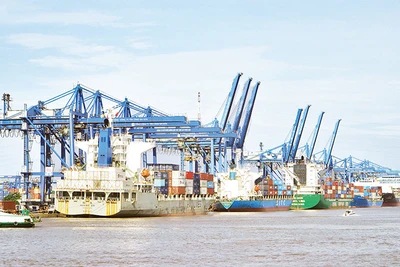 Bốc dỡ container ở cảng Cát Lái. 